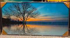 Lakeside Dreams