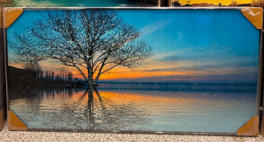 Lakeside Dreams