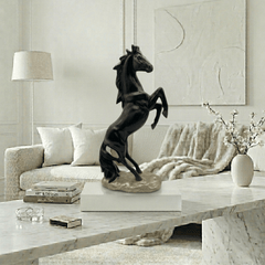 Black Stallion Ascend