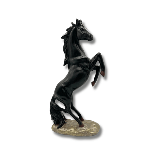 Black Stallion Ascend