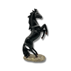 Black Stallion Ascend